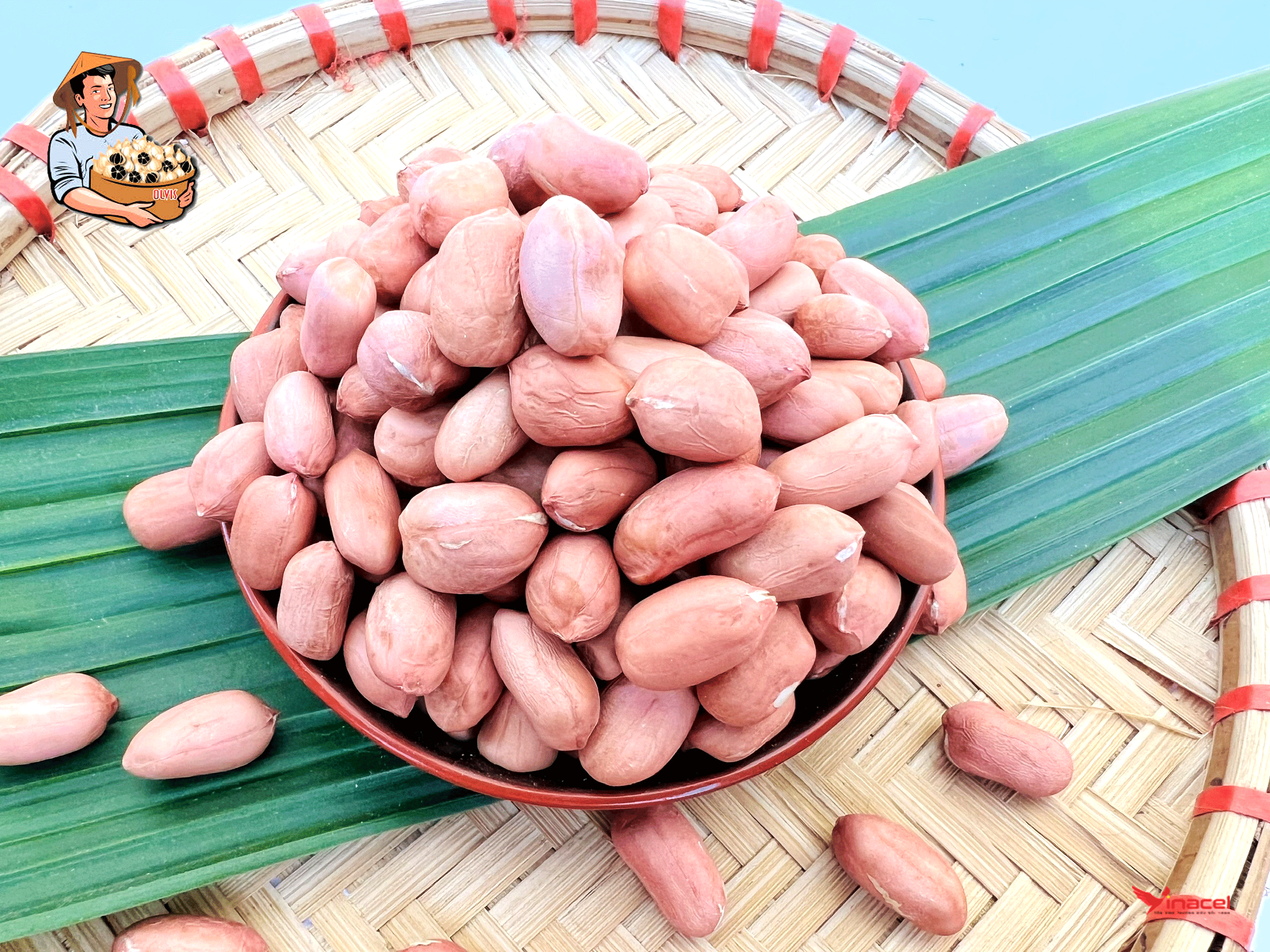 Đậu Phộng hạt Lý Sơn OLVIS – OCOP 3 Sao Quảng Ngãi